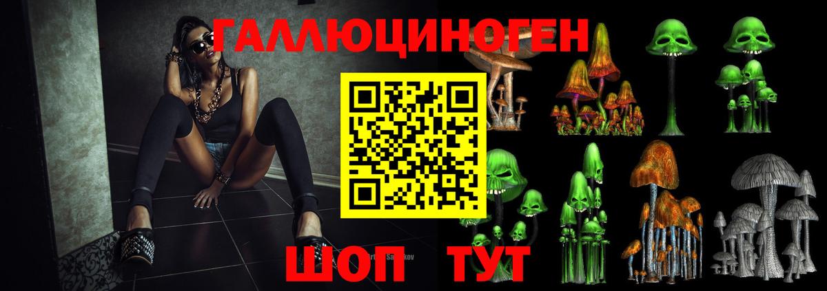 Псилоцибиновые грибы GOLDEN TEACHER  где купить наркоту  Качканар  Вход с VPN 