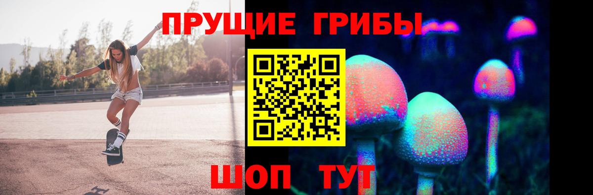 Псилоцибиновые грибы MAGIC MUSHROOMS Качканар